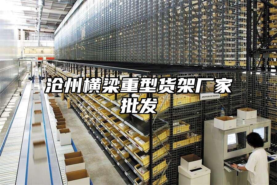 滄州橫梁重型貨架廠家批發(fā)