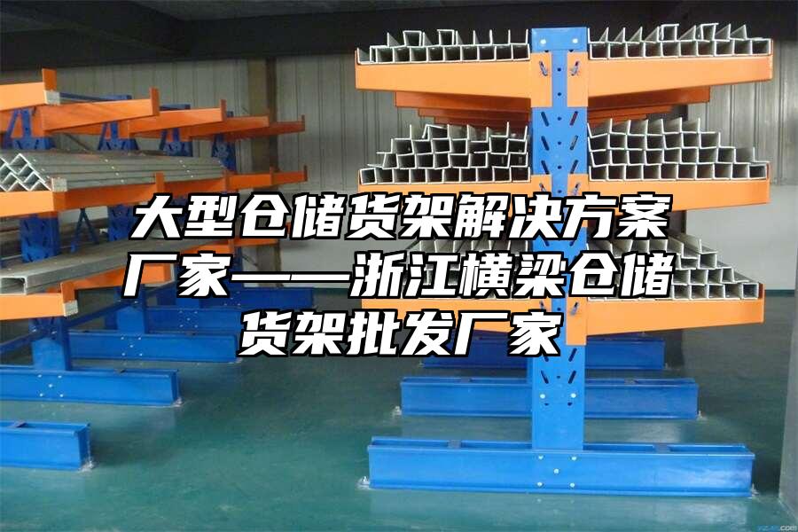 大型倉儲貨架解決方案廠家——浙江橫梁倉儲貨架批發廠家