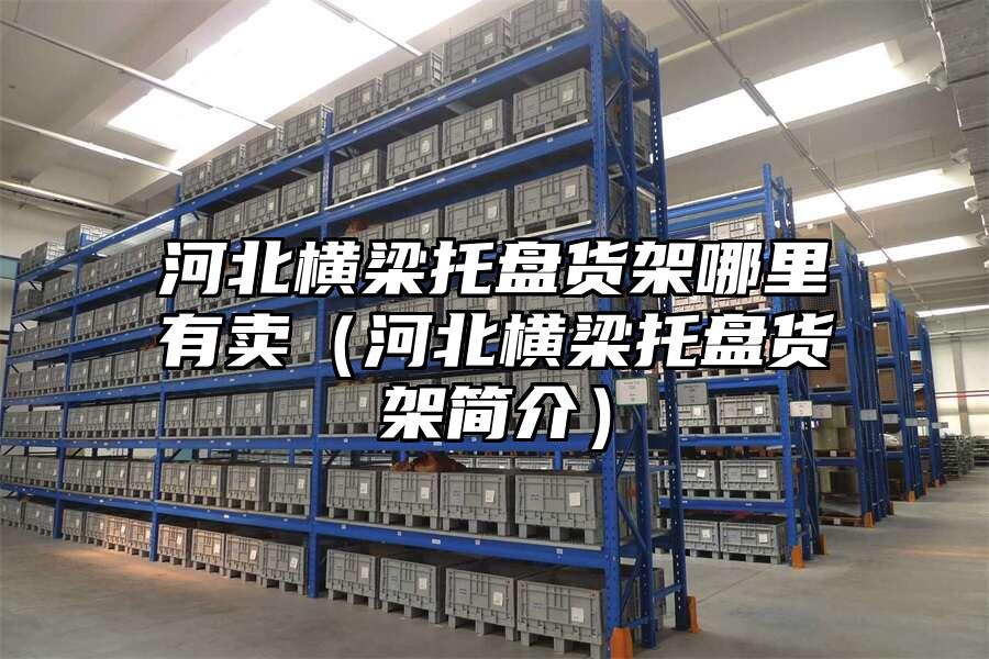 河北橫梁托盤貨架哪里有賣（河北橫梁托盤貨架簡介）