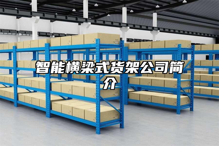 智能橫梁式貨架公司簡介