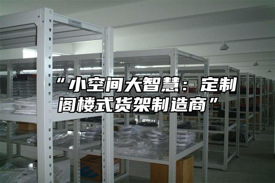 “小空間大智慧：定制閣樓式貨架制造商”