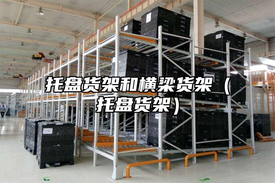 托盤貨架和橫梁貨架（托盤貨架）