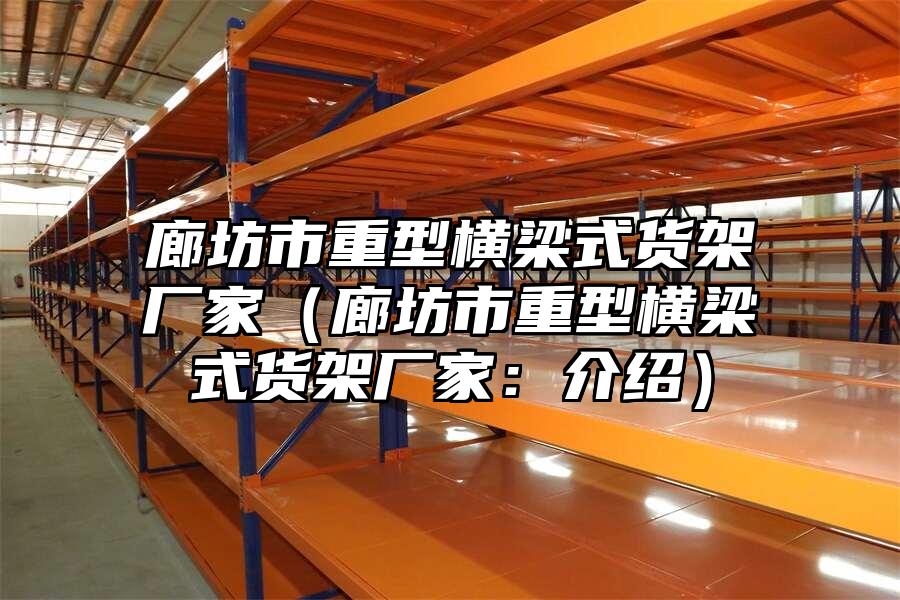 廊坊市重型橫梁式貨架廠家（廊坊市重型橫梁式貨架廠家：介紹）