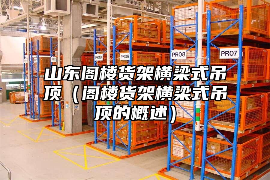 山東閣樓貨架橫梁式吊頂（閣樓貨架橫梁式吊頂的概述）