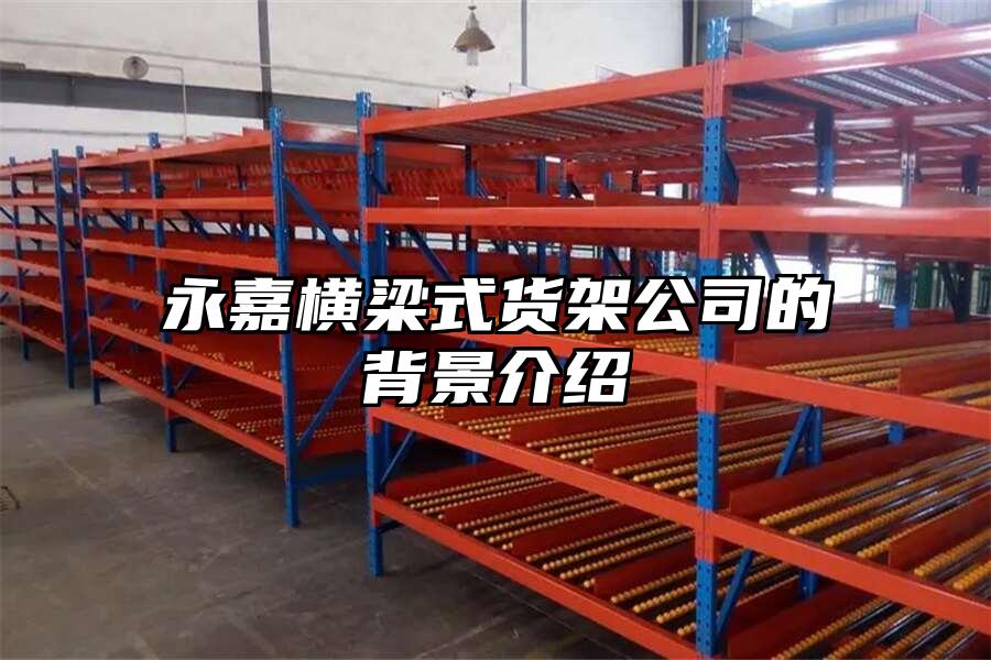 永嘉橫梁式貨架公司的背景介紹