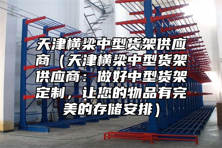 天津橫梁中型貨架供應商（天津橫梁中型貨架供應商：做好中型貨架定制，讓您的物品有完美的存儲安排）