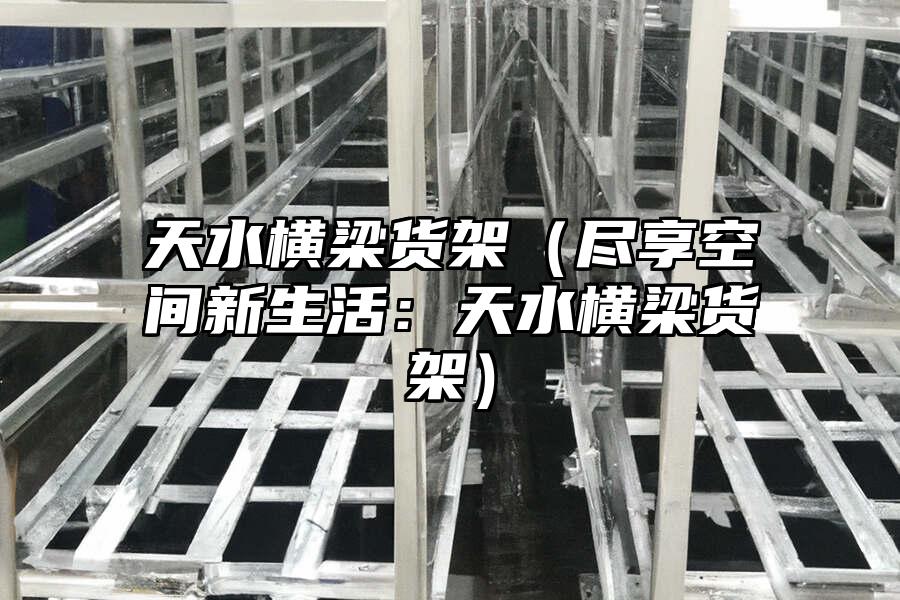 天水橫梁貨架（盡享空間新生活：天水橫梁貨架）