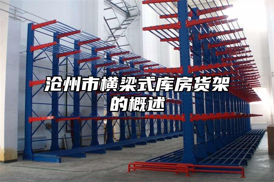 滄州市橫梁式庫(kù)房貨架的概述