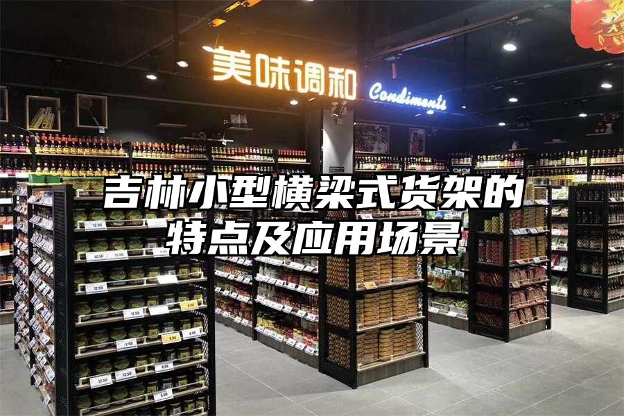 吉林小型橫梁式貨架的特點及應(yīng)用場景