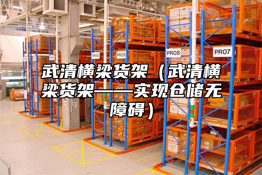 武清橫梁貨架（武清橫梁貨架——實現倉儲無障礙）
