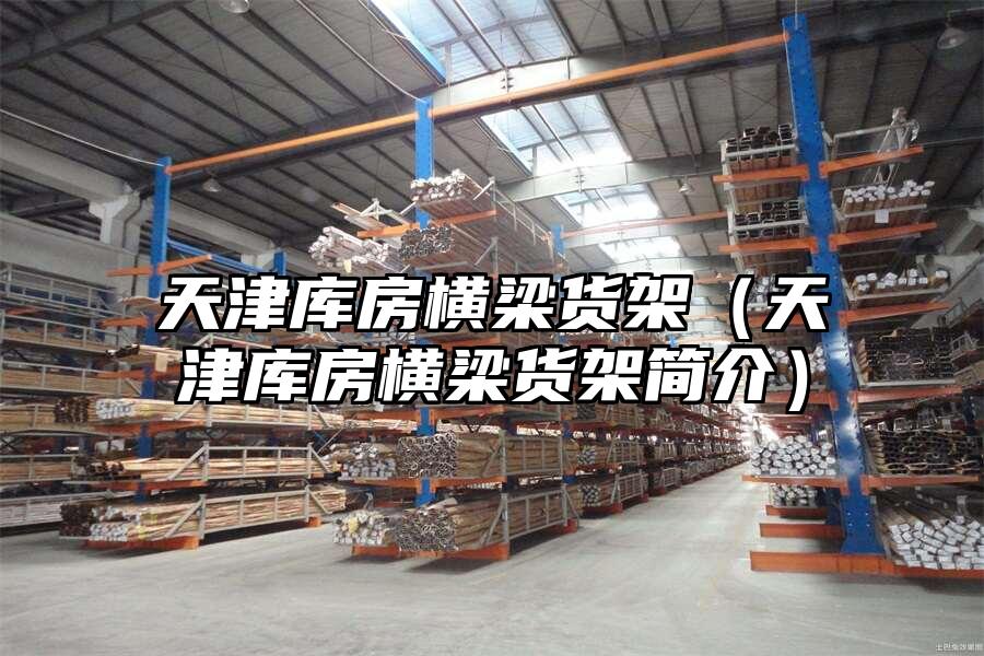 天津庫房橫梁貨架（天津庫房橫梁貨架簡介）