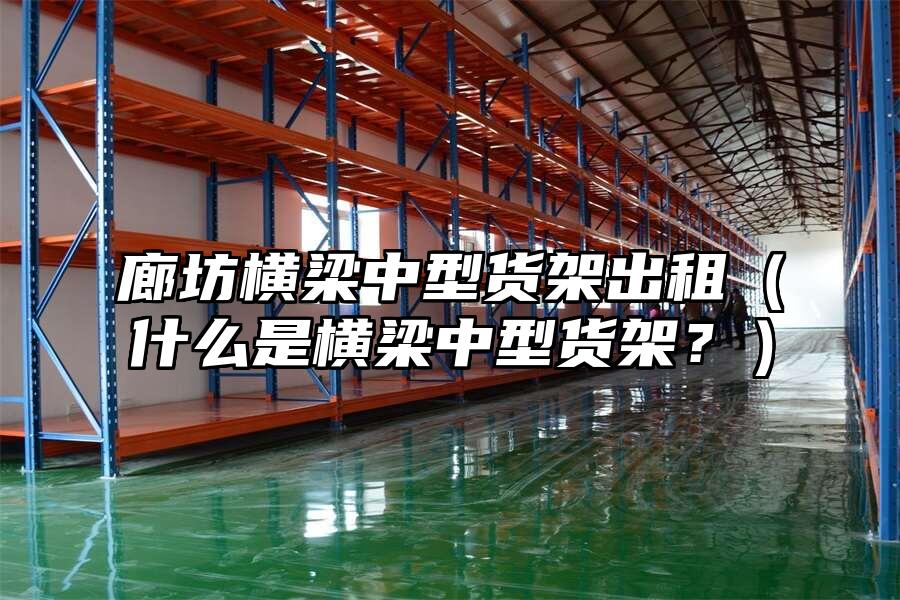 廊坊橫梁中型貨架出租（什么是橫梁中型貨架？）
