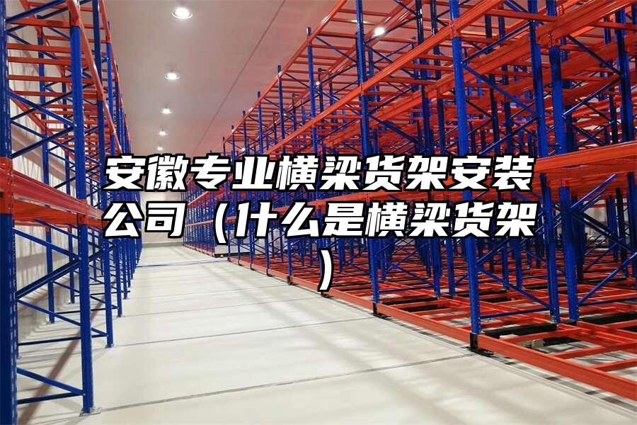 安徽專業(yè)橫梁貨架安裝公司（什么是橫梁貨架）