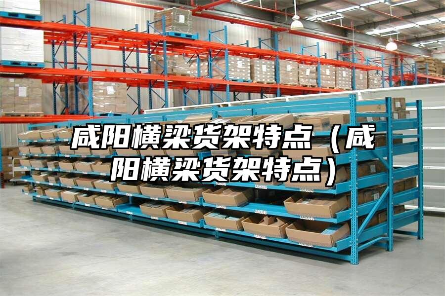 咸陽橫梁貨架特點（咸陽橫梁貨架特點）