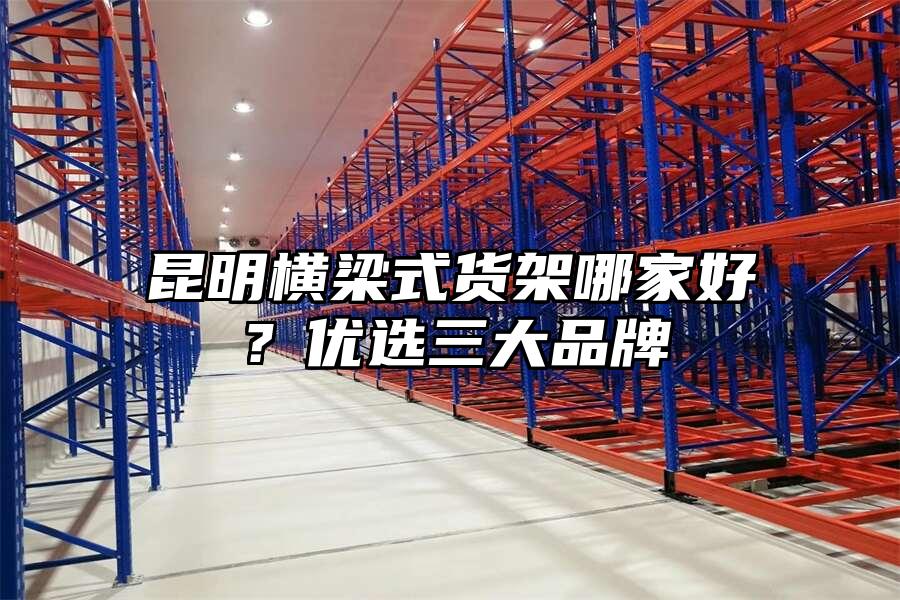 昆明橫梁式貨架哪家好？優選三大品牌
