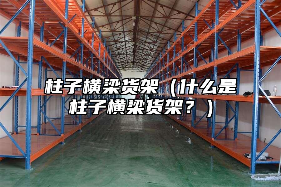 柱子橫梁貨架（什么是柱子橫梁貨架？）