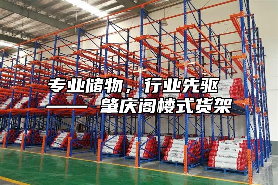 專業儲物，行業先驅 —— 肇慶閣樓式貨架