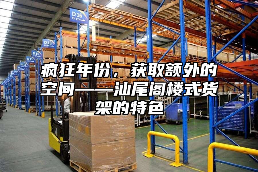 瘋狂年份，獲取額外的空間——汕尾閣樓式貨架的特色