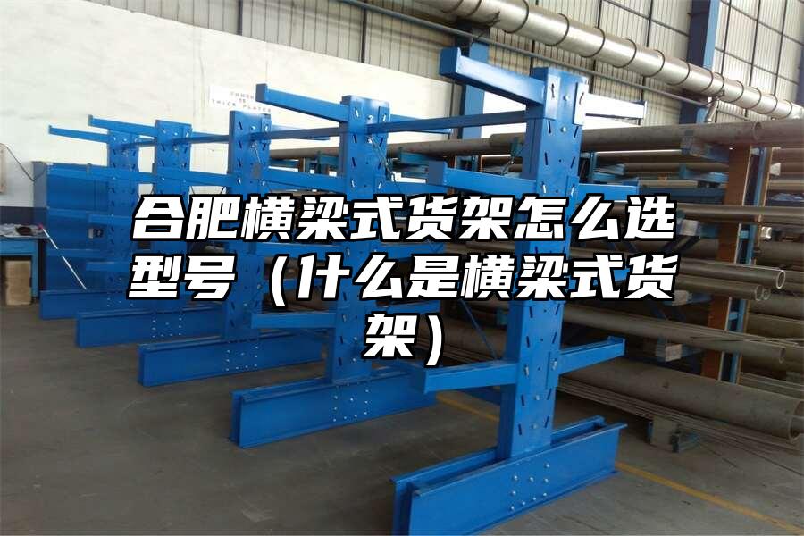 合肥橫梁式貨架怎么選型號(hào)（什么是橫梁式貨架）