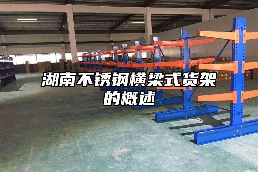 湖南不銹鋼橫梁式貨架的概述