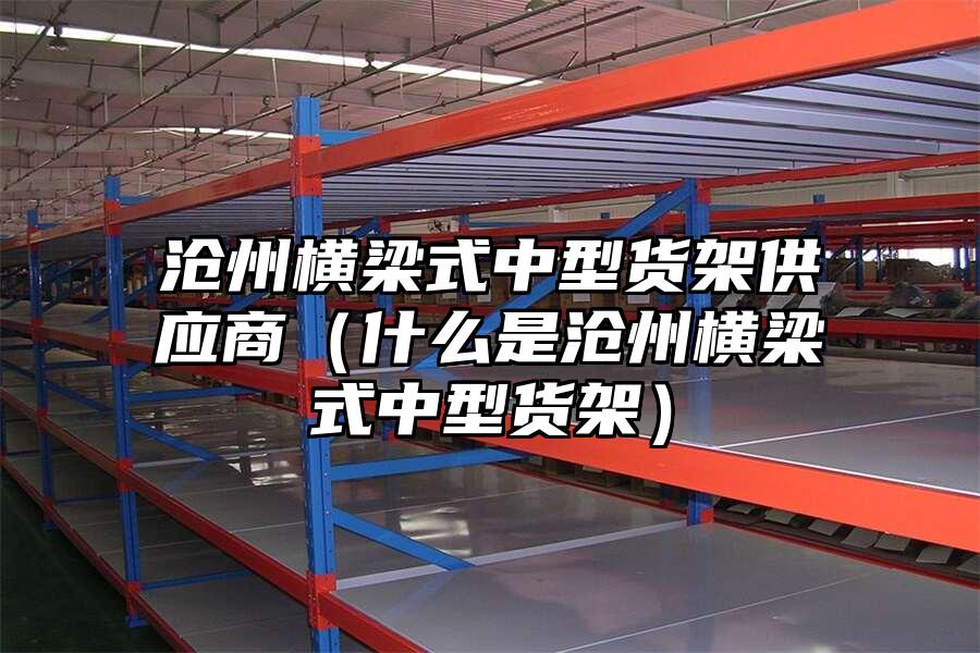 滄州橫梁式中型貨架供應商（什么是滄州橫梁式中型貨架）