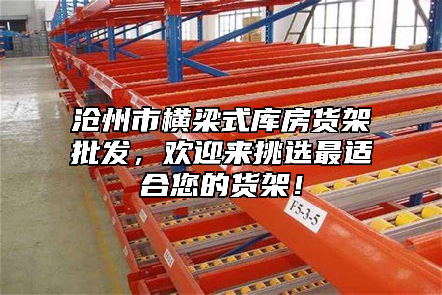 滄州市橫梁式庫(kù)房貨架批發(fā)，歡迎來挑選最適合您的貨架！