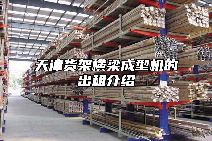天津貨架橫梁成型機的出租介紹