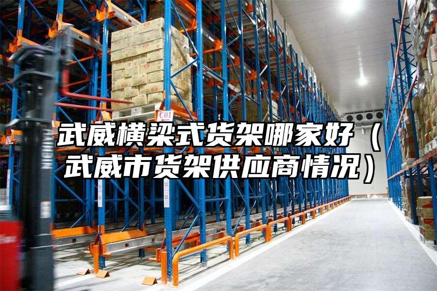 武威橫梁式貨架哪家好（武威市貨架供應(yīng)商情況）