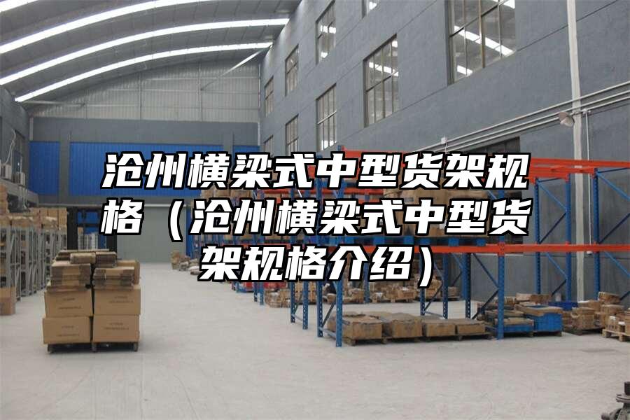 滄州橫梁式中型貨架規格（滄州橫梁式中型貨架規格介紹）