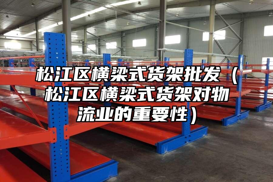 松江區(qū)橫梁式貨架批發(fā)（松江區(qū)橫梁式貨架對(duì)物流業(yè)的重要性）