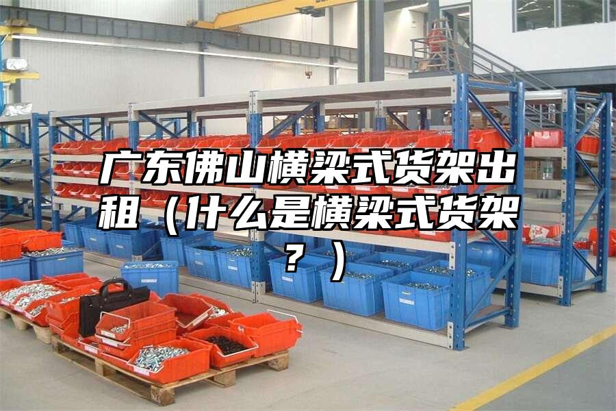 廣東佛山橫梁式貨架出租（什么是橫梁式貨架？）