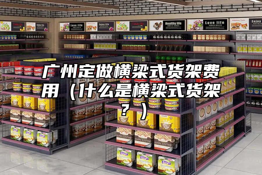 廣州定做橫梁式貨架費用（什么是橫梁式貨架？）