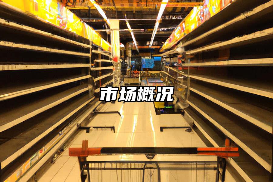 市場概況