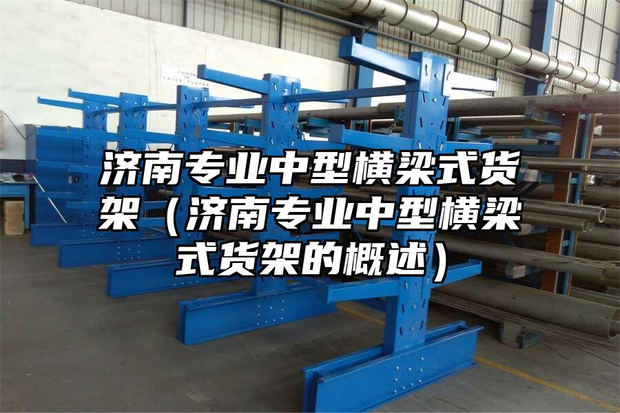 濟(jì)南專業(yè)中型橫梁式貨架（濟(jì)南專業(yè)中型橫梁式貨架的概述）