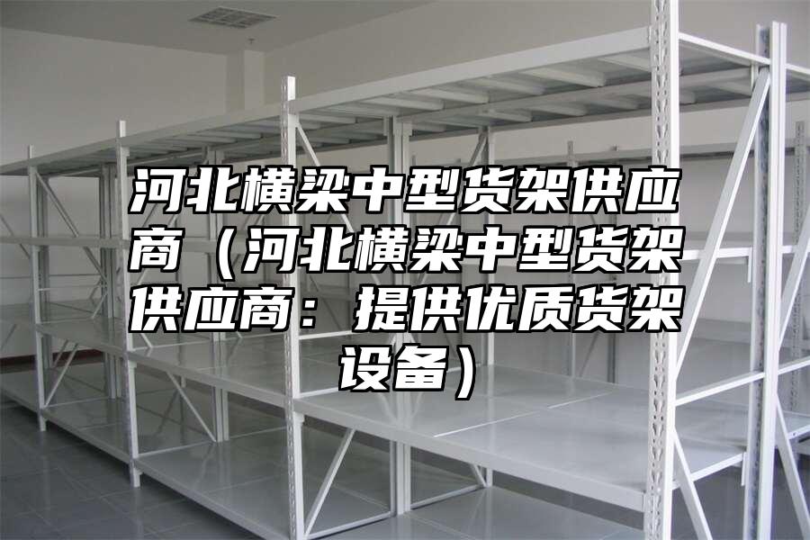 河北橫梁中型貨架供應商（河北橫梁中型貨架供應商：提供優質貨架設備）