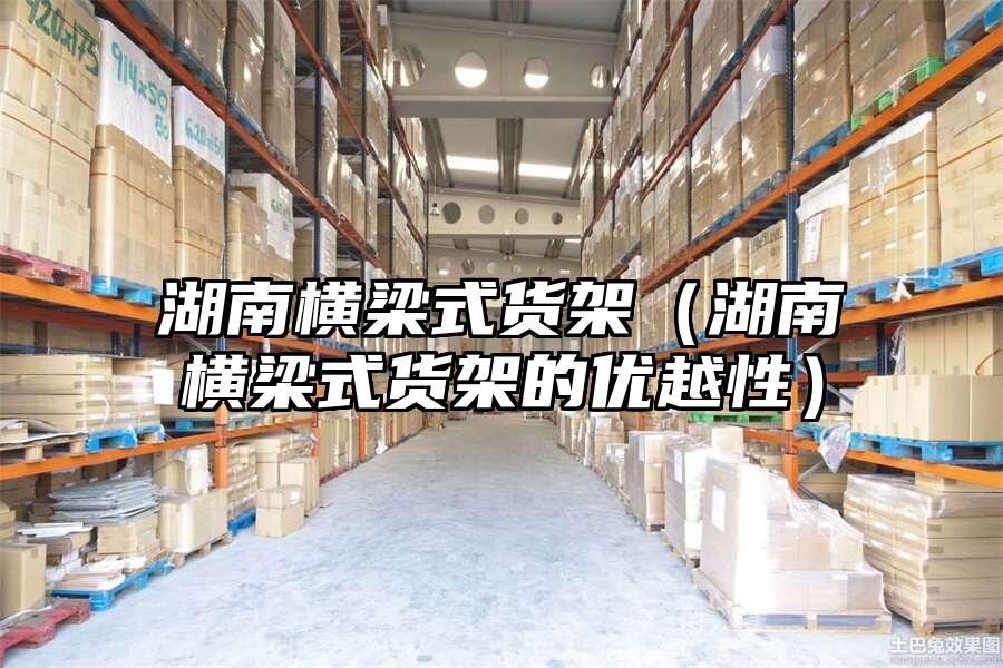 湖南橫梁式貨架（湖南橫梁式貨架的優越性）