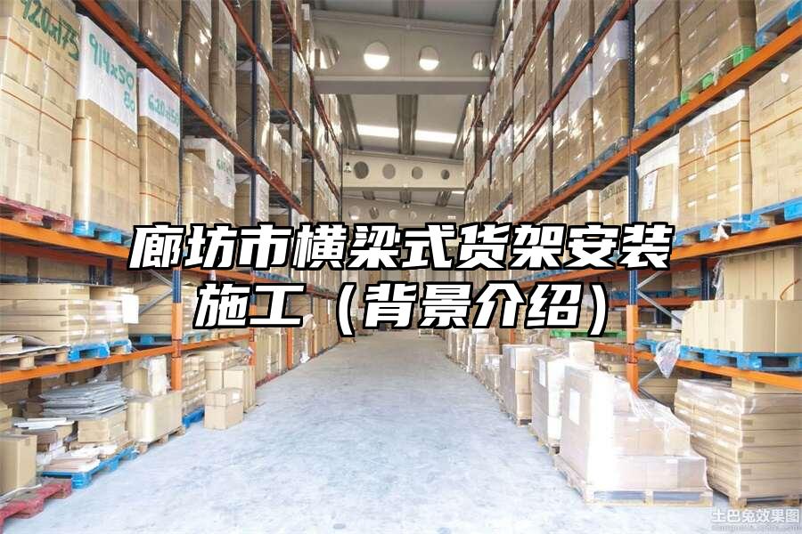 廊坊市橫梁式貨架安裝施工（背景介紹）