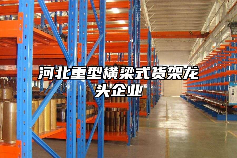 河北重型橫梁式貨架龍頭企業