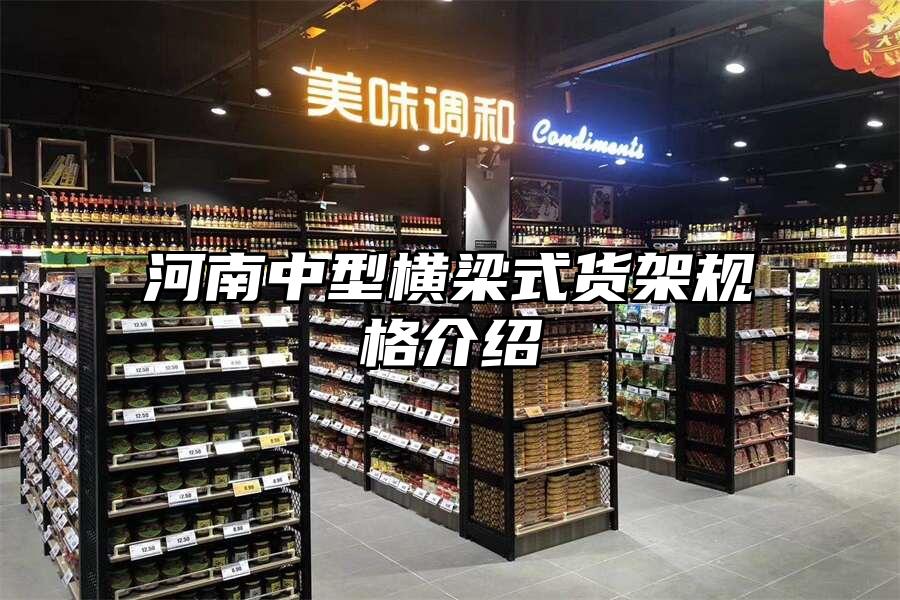 河南中型橫梁式貨架規格介紹