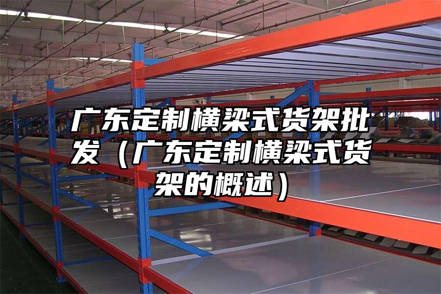 廣東定制橫梁式貨架批發（廣東定制橫梁式貨架的概述）