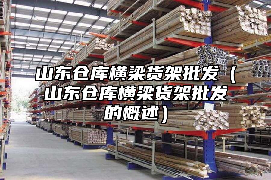 山東倉庫橫梁貨架批發（山東倉庫橫梁貨架批發的概述）