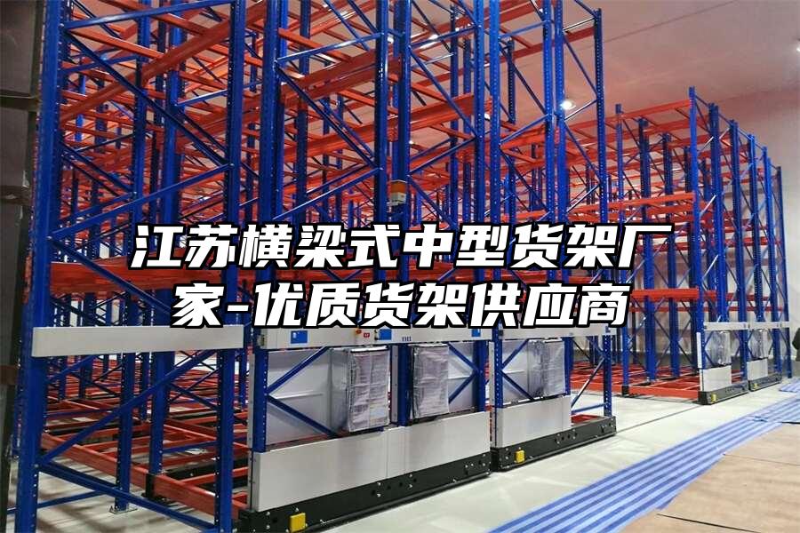 江蘇橫梁式中型貨架廠家-優質貨架供應商