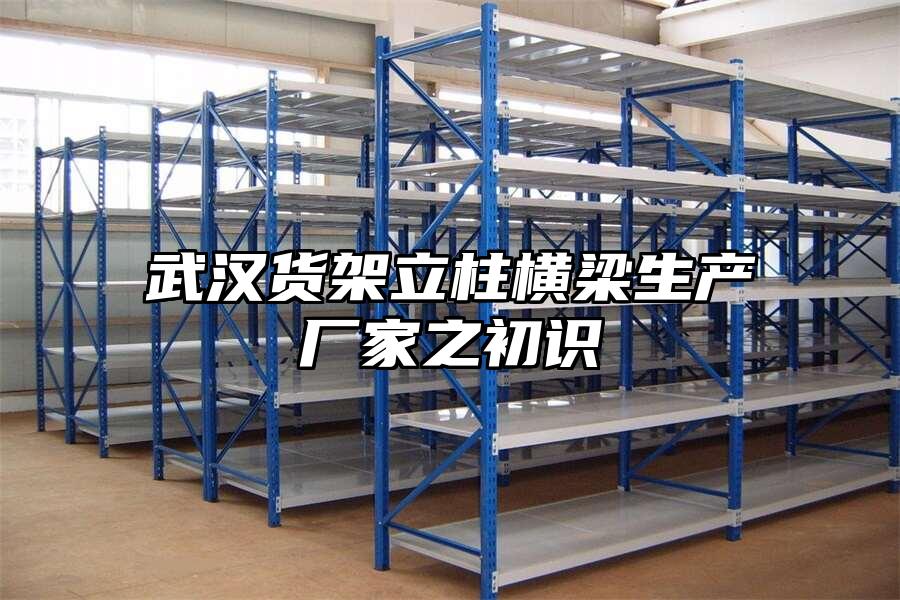 武漢貨架立柱橫梁生產廠家之初識