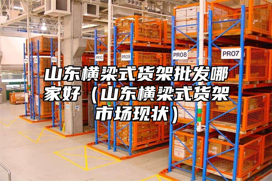 山東橫梁式貨架批發哪家好（山東橫梁式貨架市場現狀）
