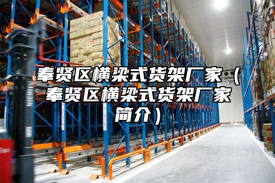 奉賢區橫梁式貨架廠家（奉賢區橫梁式貨架廠家簡介）