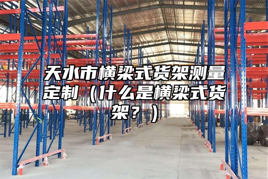 天水市橫梁式貨架測量定制（什么是橫梁式貨架？）