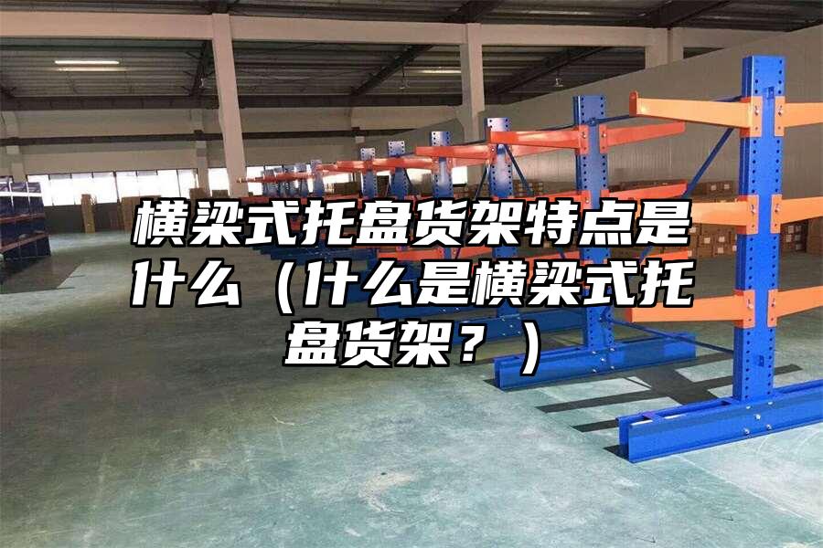 橫梁式托盤貨架特點是什么（什么是橫梁式托盤貨架？）