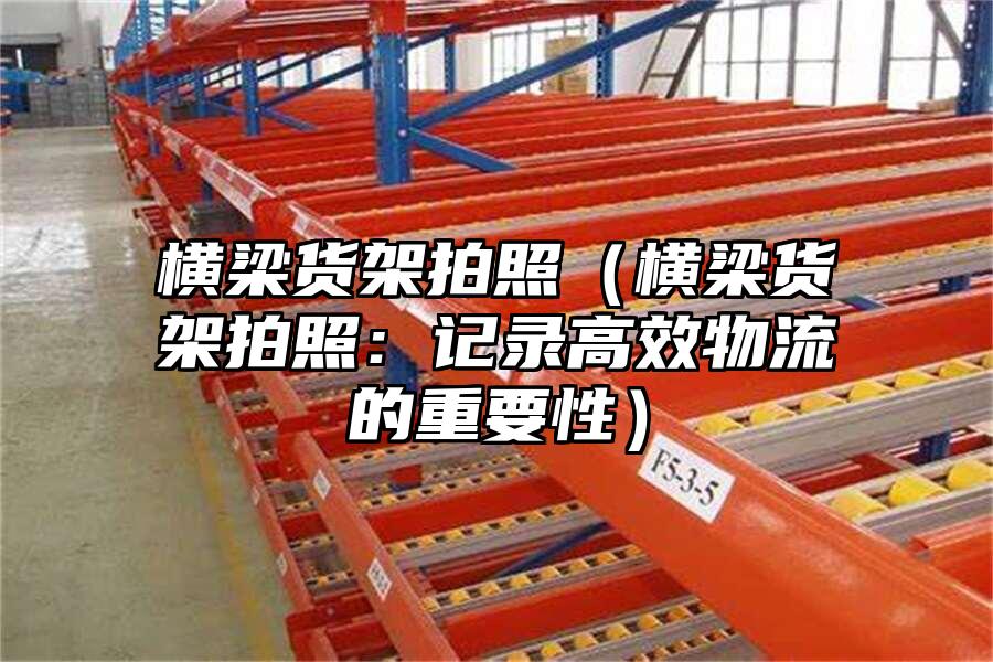 橫梁貨架拍照（橫梁貨架拍照：記錄高效物流的重要性）