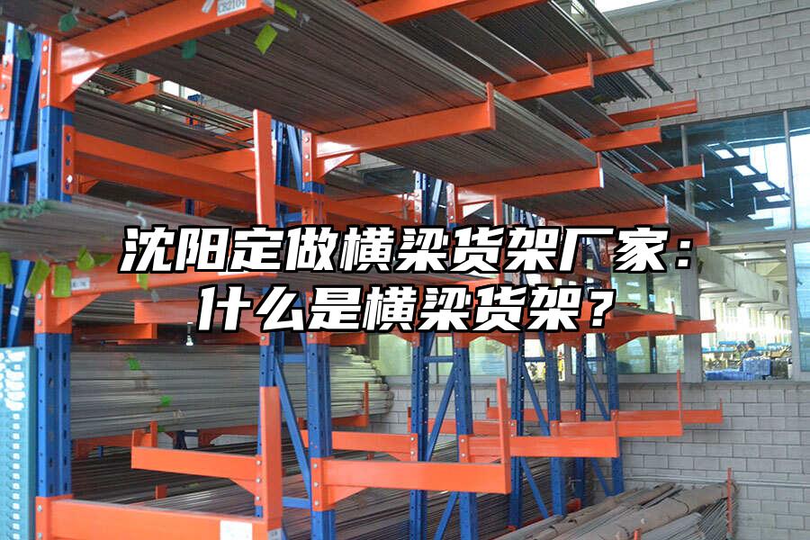 沈陽定做橫梁貨架廠家：什么是橫梁貨架？