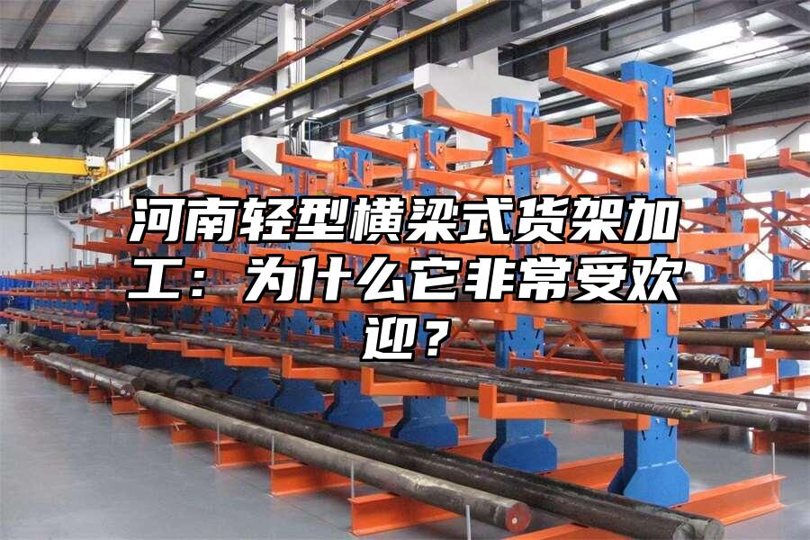 河南輕型橫梁式貨架加工：為什么它非常受歡迎？